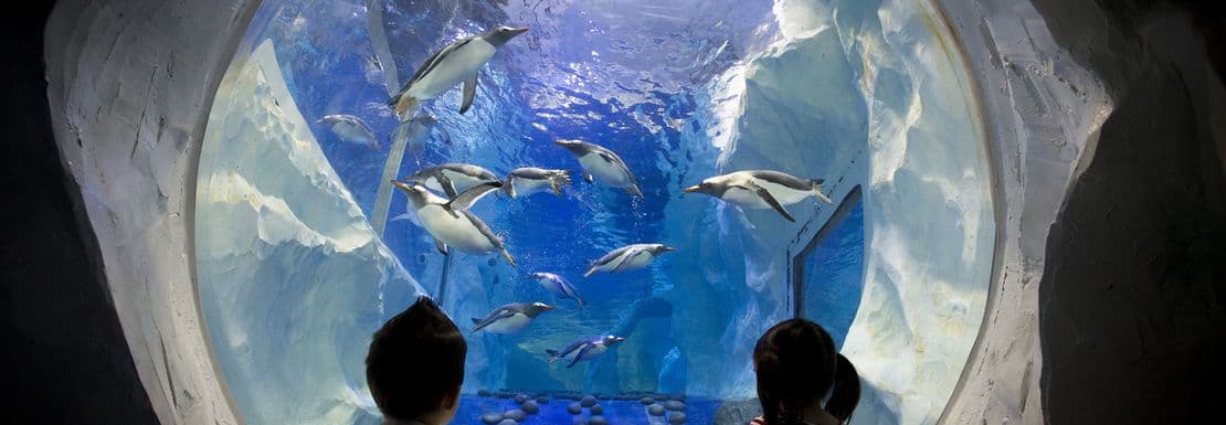 Unique Marine Encounters